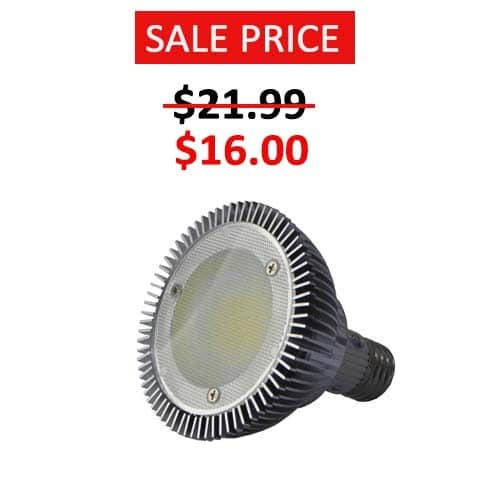 10W R30 LED Bulb (2700K)