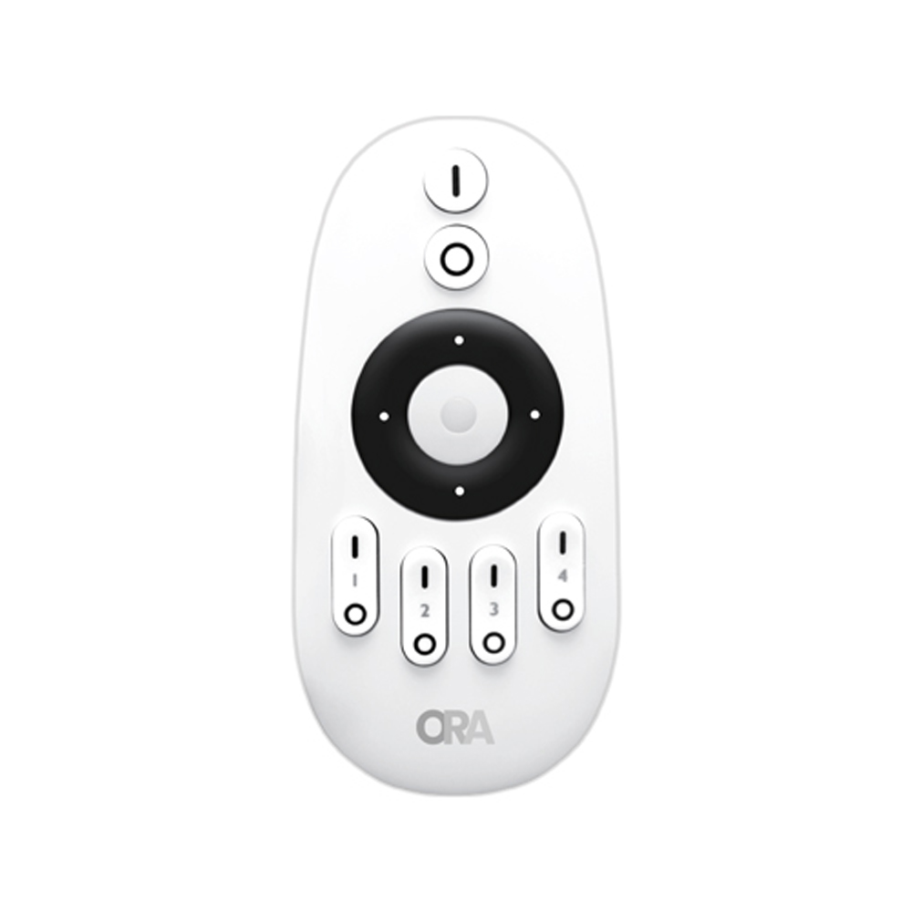 CCT 4 Zone Remote
